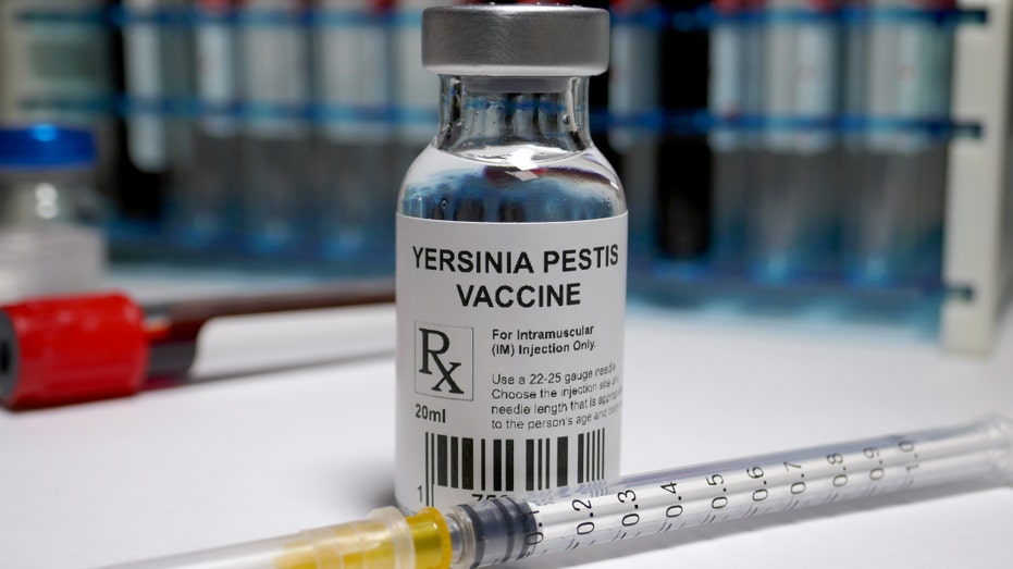 Breakthrough mRNA Vaccine Achieves 100% Protection Against Deadly Plague Bacteria