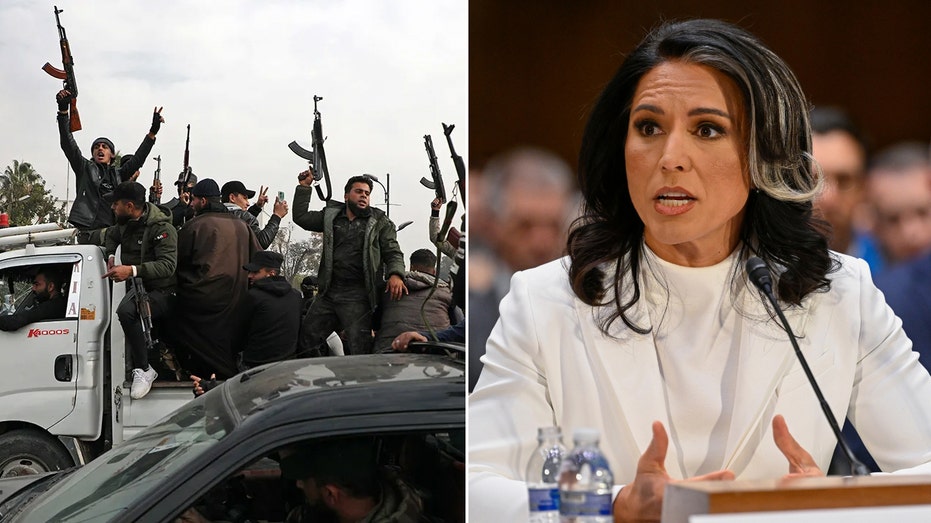 Tulsi Gabbard's Prophetic Senate Warning Comes True as Al Qaeda-Linked Forces Wreak Havoc in Syria