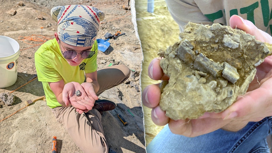 How Youth-Led Discoveries Are Reshaping Paleontology and Democratizing Scientific Knowledge