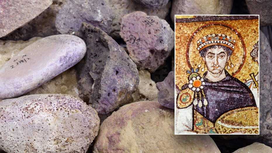 Ancient Purple Dye Factory Unearthed in Israel, Tied to Biblical Royalty