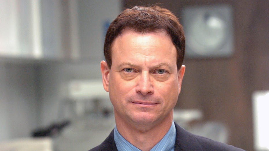 Gary Sinise Open to Hollywood Return Under Right Conditions, Focuses on Family and Veterans