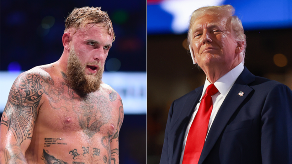 Jake Paul Slams Republican 'Alpha Male' Issue in Trump-Musk Feud