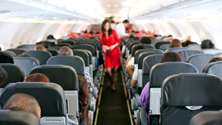 Delta’s Zyn Ban Sparks Confusion Over Smokeless Nicotine on Flights