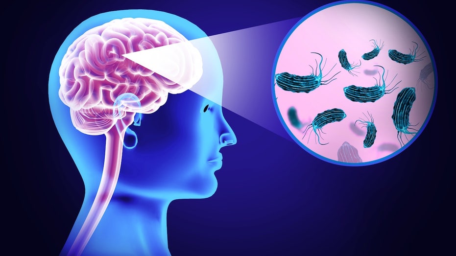 Texas Woman Dies from Brain-Eating Amoeba After Nasal Rinse with Tap Water