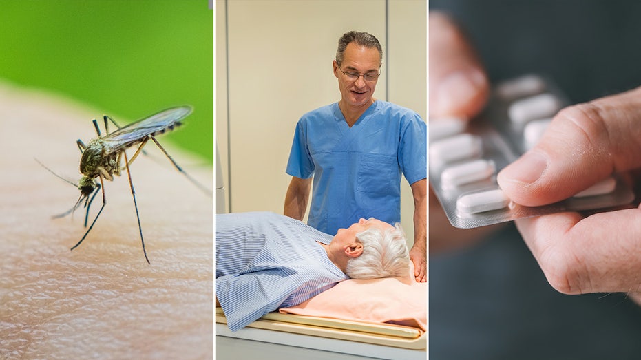 Dengue Fever, Prostate Cancer Risks, and Alzheimer’s Prevention: The Health Headlines You Need
