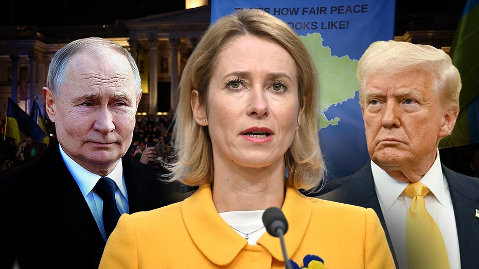 EU Diplomat Warns Putin 'Doesn't Want Peace' Amid Trump, Zelenskyy Deal Buzz