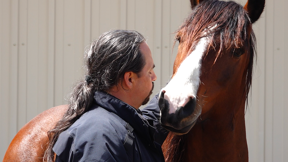 Wyoming’s Wild Mustangs Offer Veterans a Path to Healing Through Equine Therapy